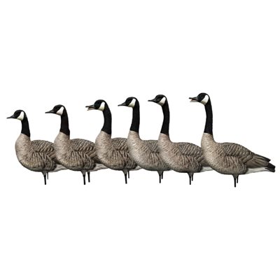 Appelants AXP HONKERS SENTRY PACK Outardes