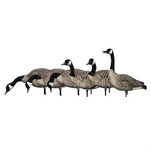 Appelants AXP HONKERS FUSION PACK Outardes