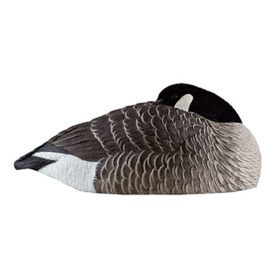 Appelants AXP HONKER SLEEPERS Coquilles Outardes