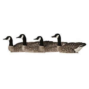Appelants TOPFLIGHT HONKERS Outardes