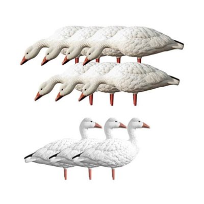 Appelants Snow Goose Feeder kit Oies